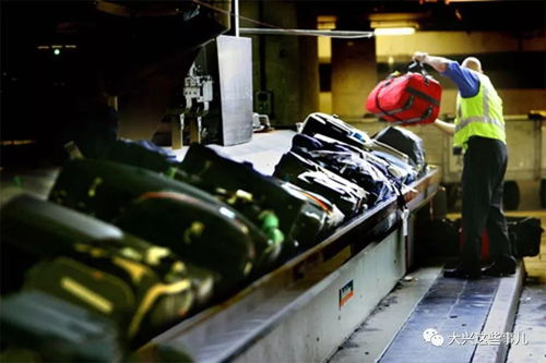 大興機場380個崗位開放，勞務服務助你找到適合的工作機會